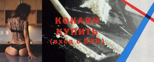 шишки Баксан