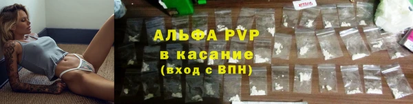 шишки Баксан