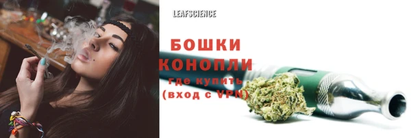 шишки Баксан