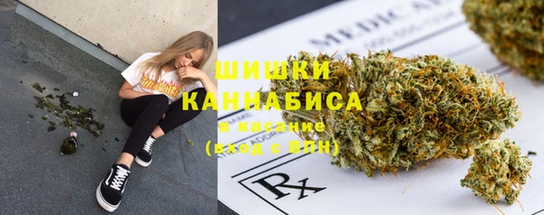 шишки Баксан