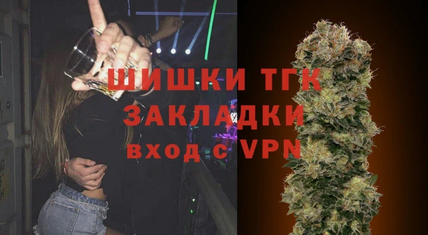шишки Баксан