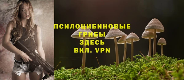 шишки Баксан