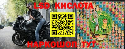 apvp Краснодар