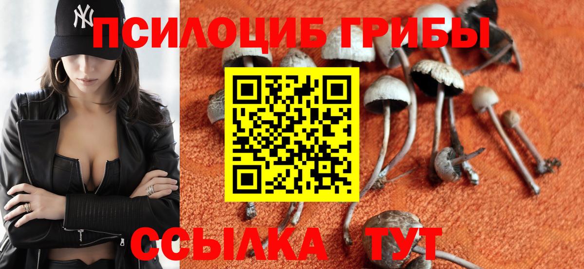 Кировск  Псилоцибиновые грибы Psilocybe  Вход с VPN  Псилоцибиновые грибы Psilocybine cubensis 