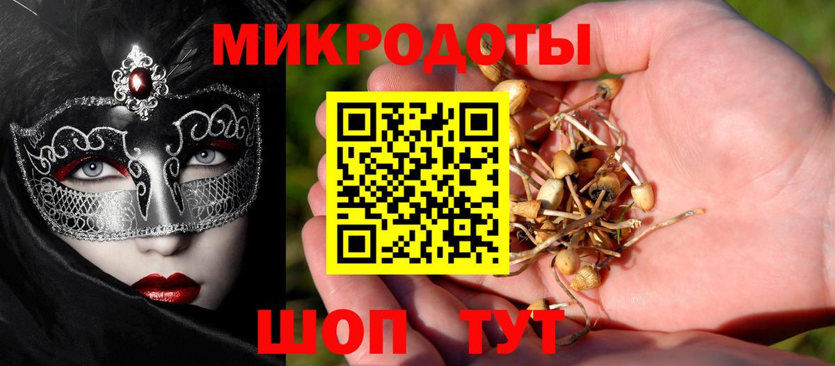Псилоцибиновые грибы мицелий Кировск